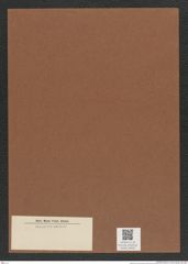 Diatomeae indet. Zeichnungen Sammlung Grunow Mappe 04609 (Herbarium_W_Grunow_drawings_Folder_04609)